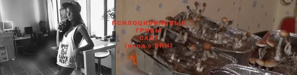 2c-b Верхний Тагил