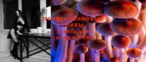 2c-b Верхний Тагил